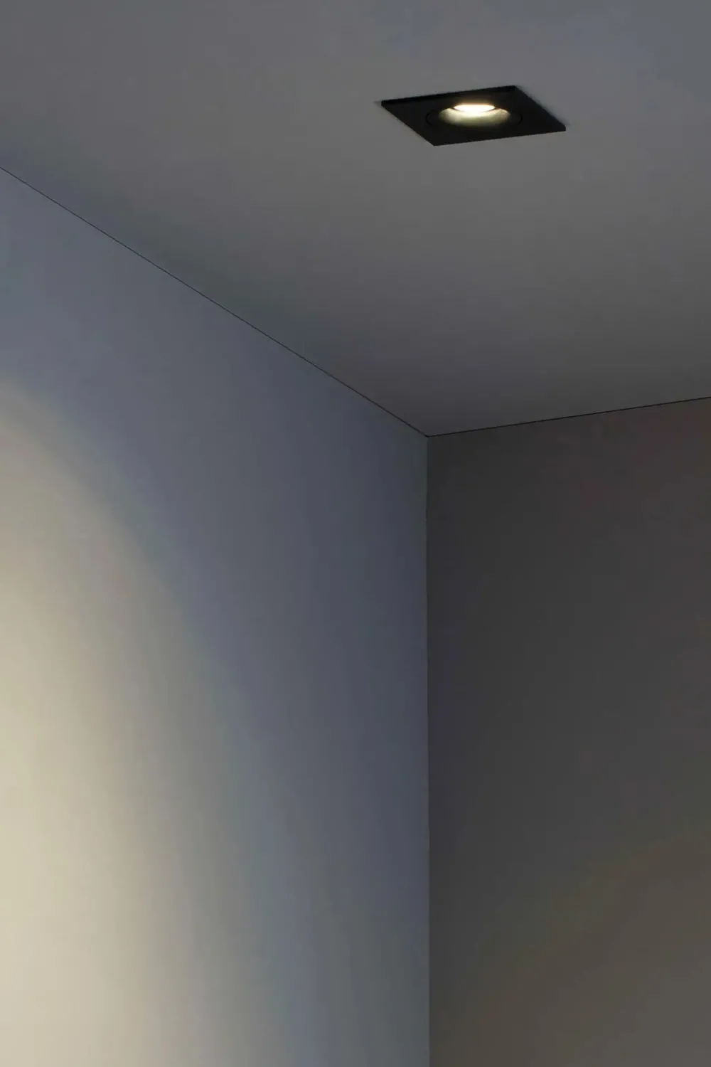 Faro Spots>Argon SQ Spots