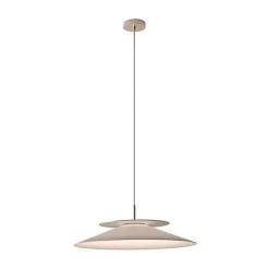 Contardi Suspensions>Asia So Suspensions