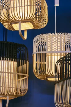 Forestier Suspensions><noscript><img width=