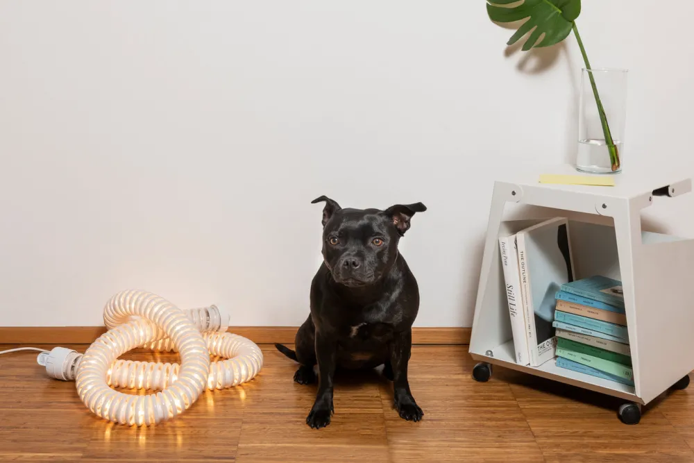 Artemide Lampes À Poser|Lampes À Poser>Boalum Lampes à poser LED Blanc