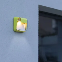 Roger Pradier Appliques>Carex N°1 Appliques Outdoor