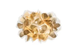 Slamp Appliques><noscript><img width=