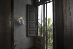 Karman Appliques><noscript><img width=