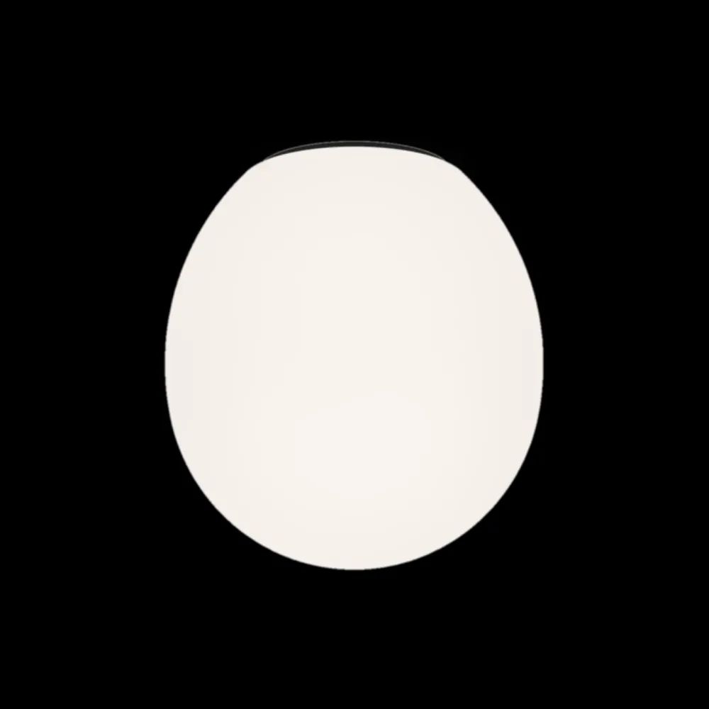 Wever u0026 Ducré Plafonniers>Dro 3.0 Plafonniers Noir et Verre Opalin Blanc