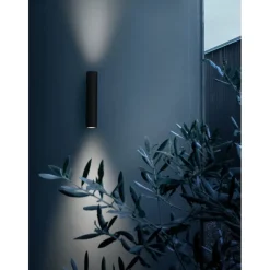 Flos Appliques|Appliques><noscript><img width=