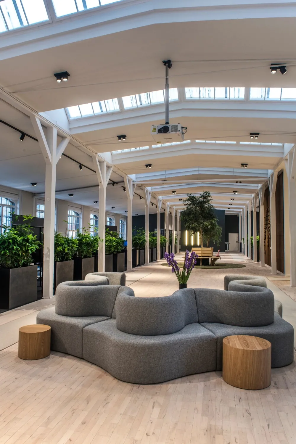 Light-Point Spots|Plafonniers>Focus 2 Spots en saillie LED