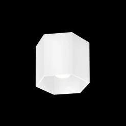 Wever u0026 Ducré Spots|Plafonniers>Hexo 1.0 PAR16 Plafonniers