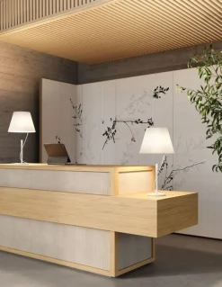 Lodes Lampes À Poser|Lampes À Poser>Hover Lampes à poser LED Blanc mat