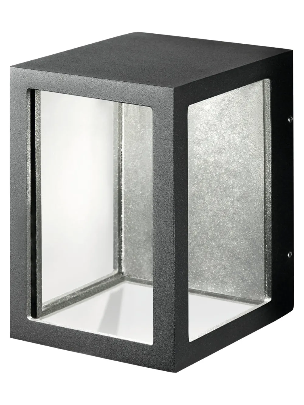 Light-Point Appliques>Lantern W1 Appliques Outdoor LED Noir