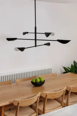 Faro Suspensions><noscript><img width=