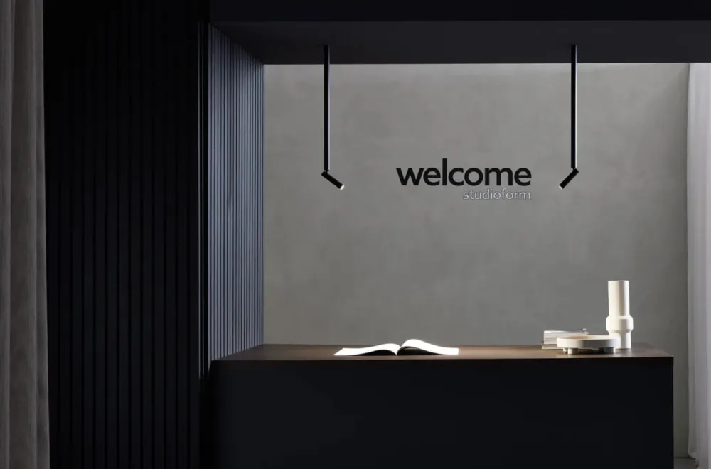 Wever u0026 Ducré Spots>Match Stick Trimless 1.0 Spots