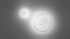 Artemide Plafonniers|Appliques><noscript><img width=