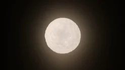 Artemide Suspensions><noscript><img width=