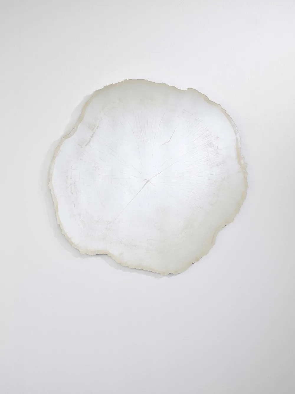 Deknudt Mirrors Miroirs>Miroir Arbo Large