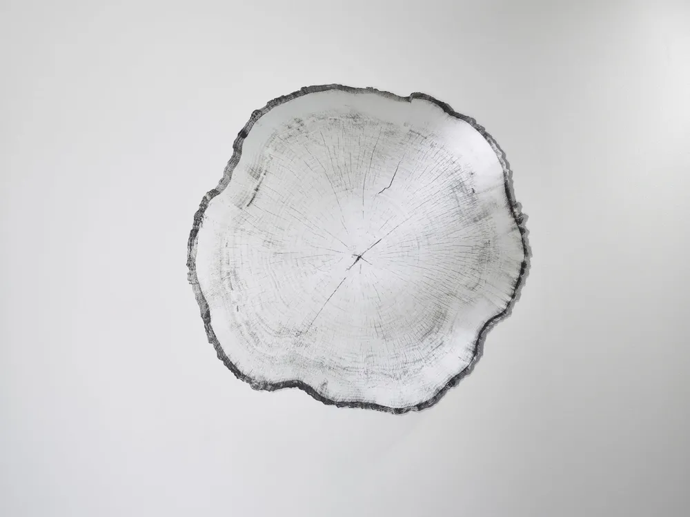 Deknudt Mirrors Miroirs>Miroir Arbo Large