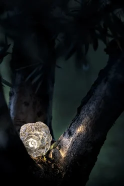 Catellani u0026 Smith Lampes De Sol><noscript><img width=