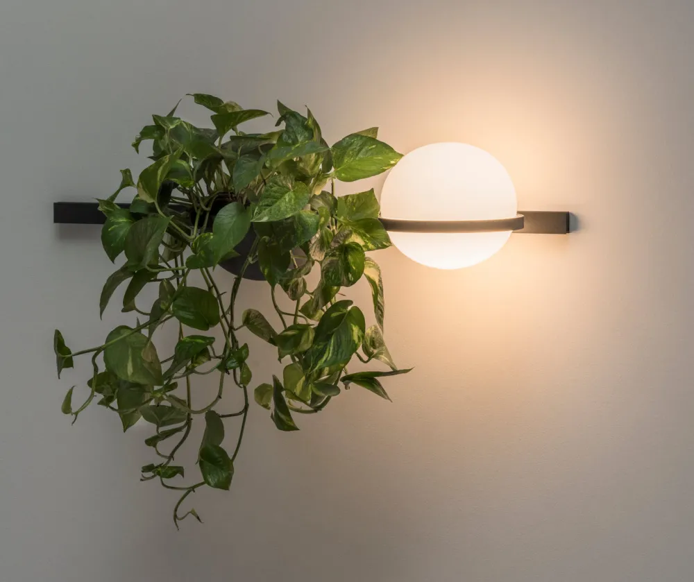 Vibia Appliques>Palma Appliques LED Gris foncé