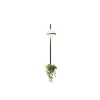 Vibia Appliques>Palma Appliques LED