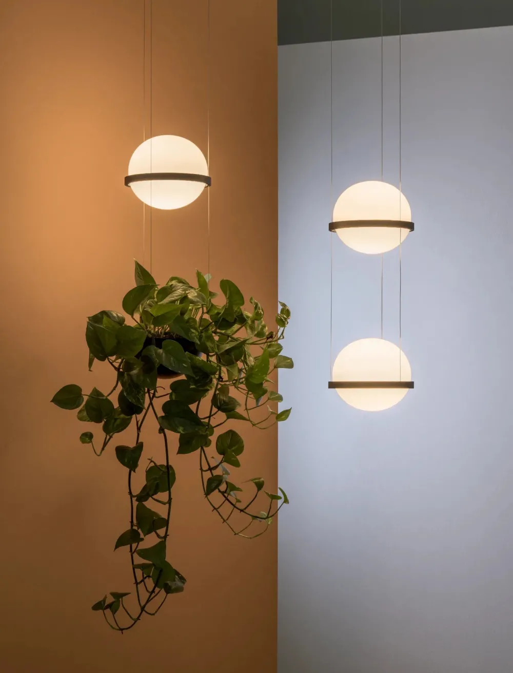 Vibia Suspensions>Palma Suspensions LED