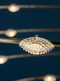 Catellani u0026 Smith Suspensions>Petits Bijoux 28 Suspensions Doré