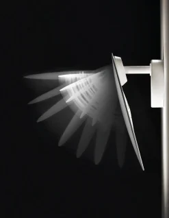 Lodes Appliques><noscript><img width=