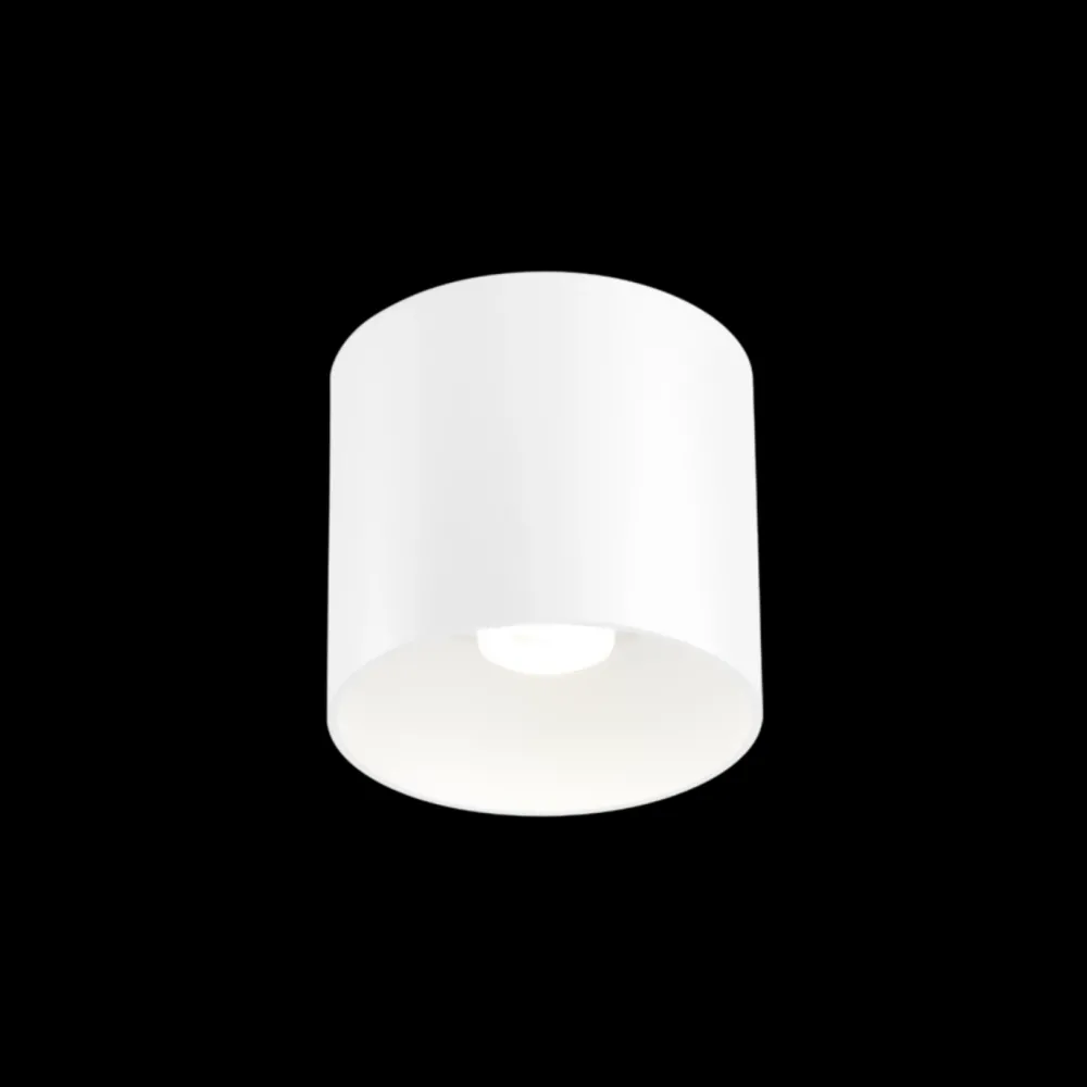 Wever u0026 Ducré Spots|Plafonniers>Ray 1.0 LED 2700K Dimmable Spots