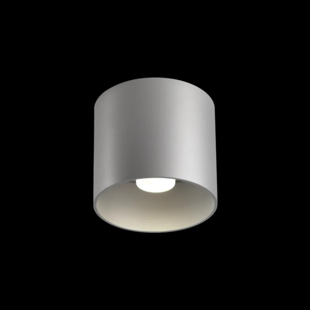 Wever u0026 Ducré Spots|Plafonniers>Ray 1.0 LED 2700K Dimmable Spots