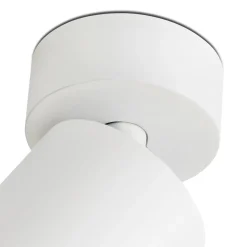 Faro Spots><noscript><img width=