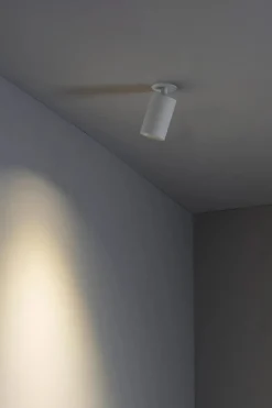 Faro Spots>Stan Spots