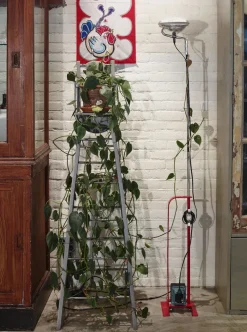 Flos Lampadaires><noscript><img width=