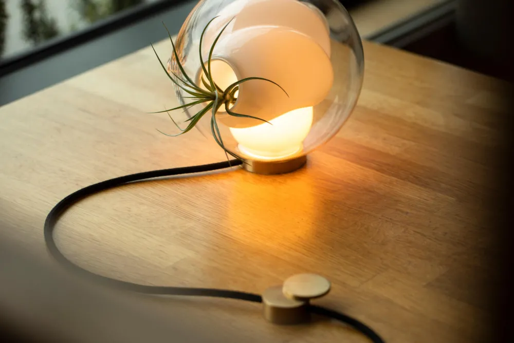 BOCCI Lampes À Poser|Lampes À Poser>38V Table Lampes de table LED Transparent