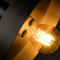 Faro Appliques><noscript><img width=